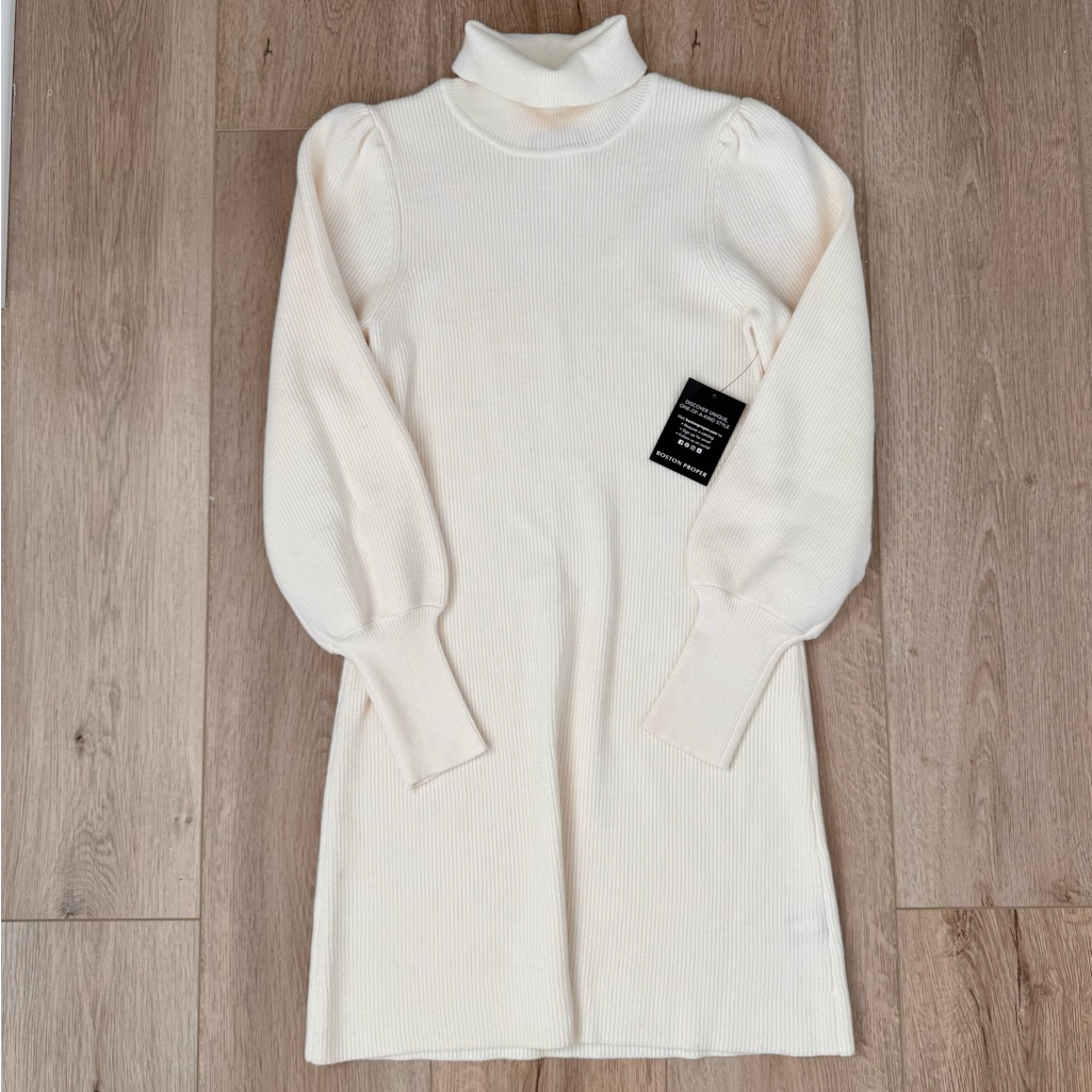 Boston Proper Turtleneck Sweater Dress